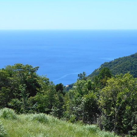 Diamond View Cottages Розо Екстериор снимка