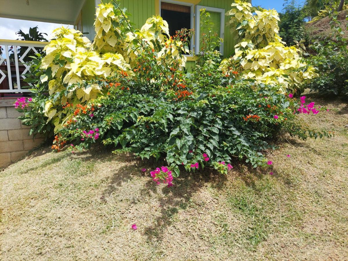 Diamond View Cottages Розо Екстериор снимка